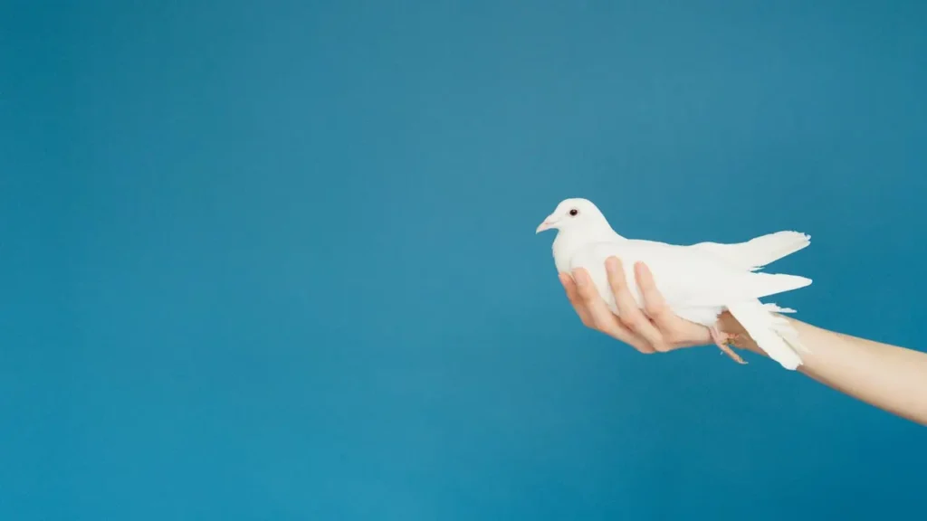 A woman holding a pigeon, symbolizing the ‘bird in hand’ proverb — representing a website as a secure business asset.